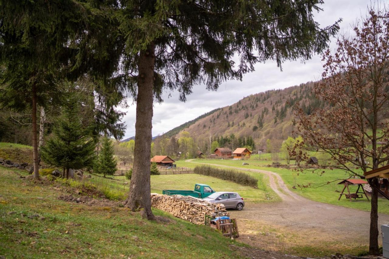 3A Guest House Sicasău Eksteriør bilde