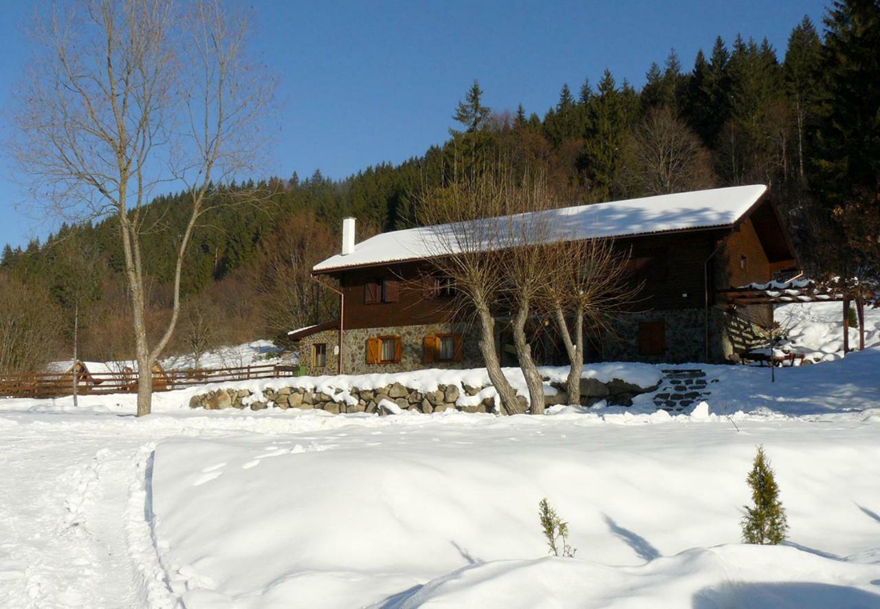 3A Guest House Sicasău Eksteriør bilde