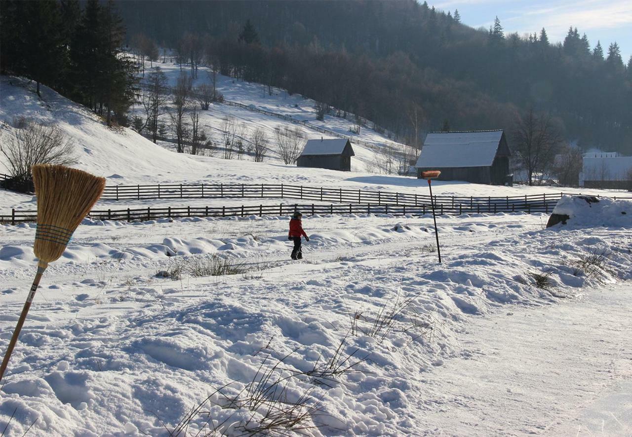 3A Guest House Sicasău Eksteriør bilde